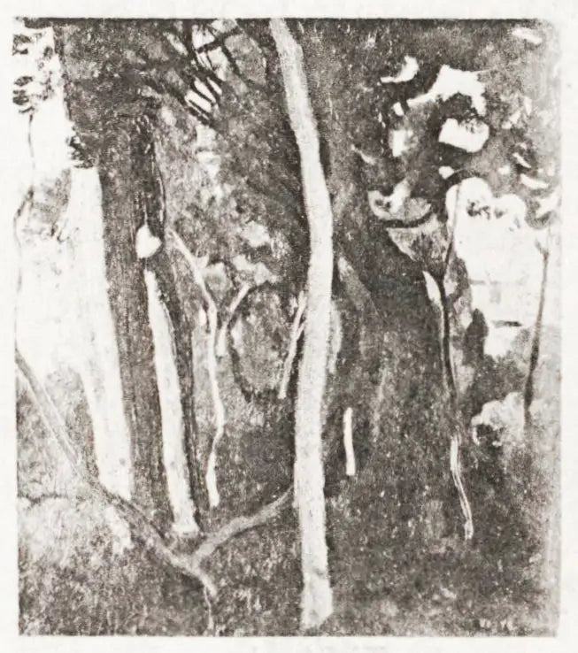 Etudes d’arbres villa d’Este à Tivoli - Jean-Baptiste Camille Corot - Alpha Reproduction