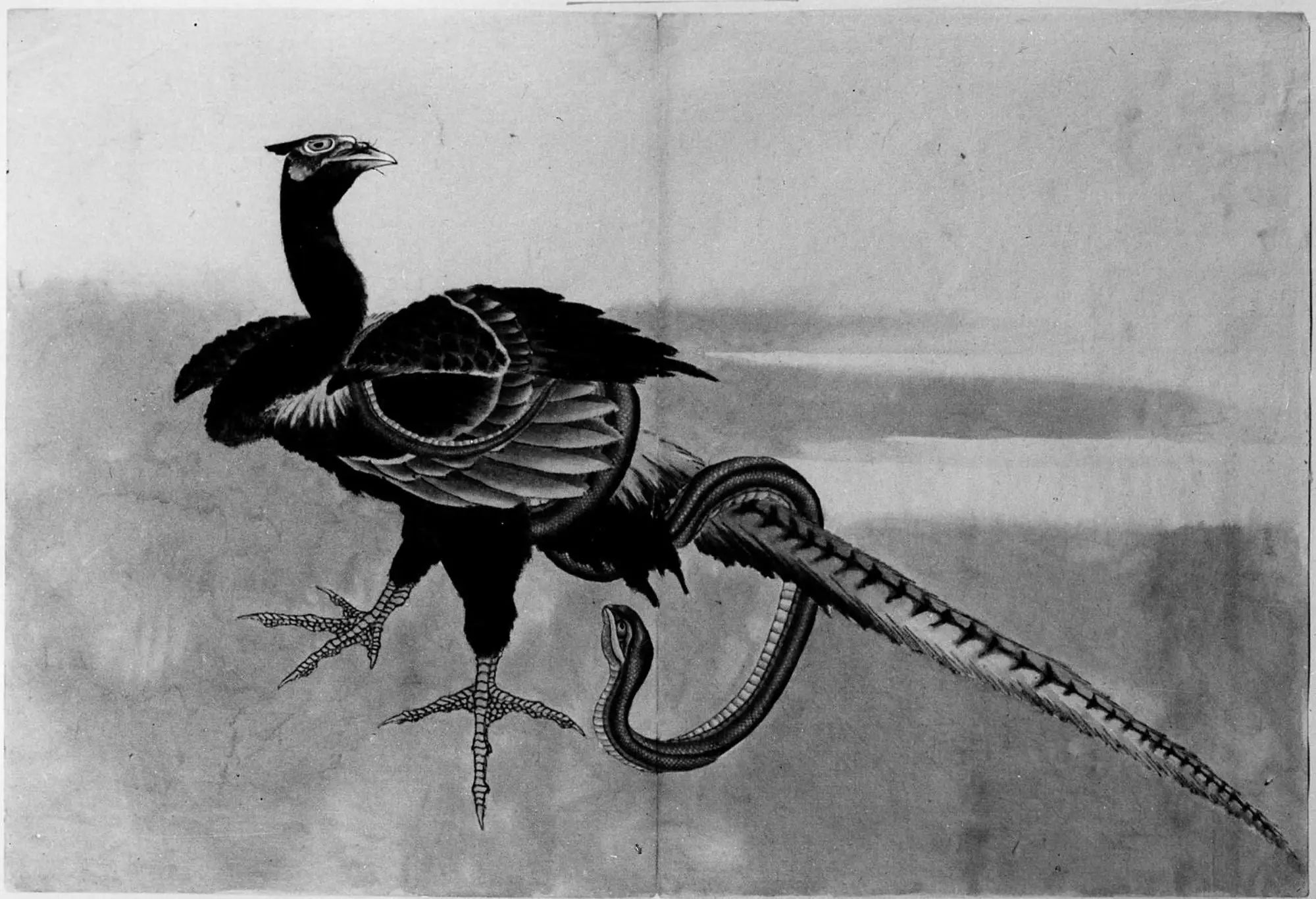Faisan et serpent - Hokusai - Alpha Reproduction