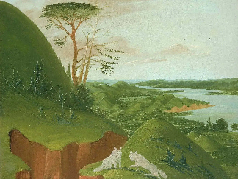 Scogliere fluviali con lupi bianchi in primo piano, Haut-Missouri - George Catlin