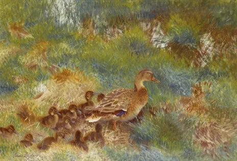 famiglia di anatre - Bruno Liljefors