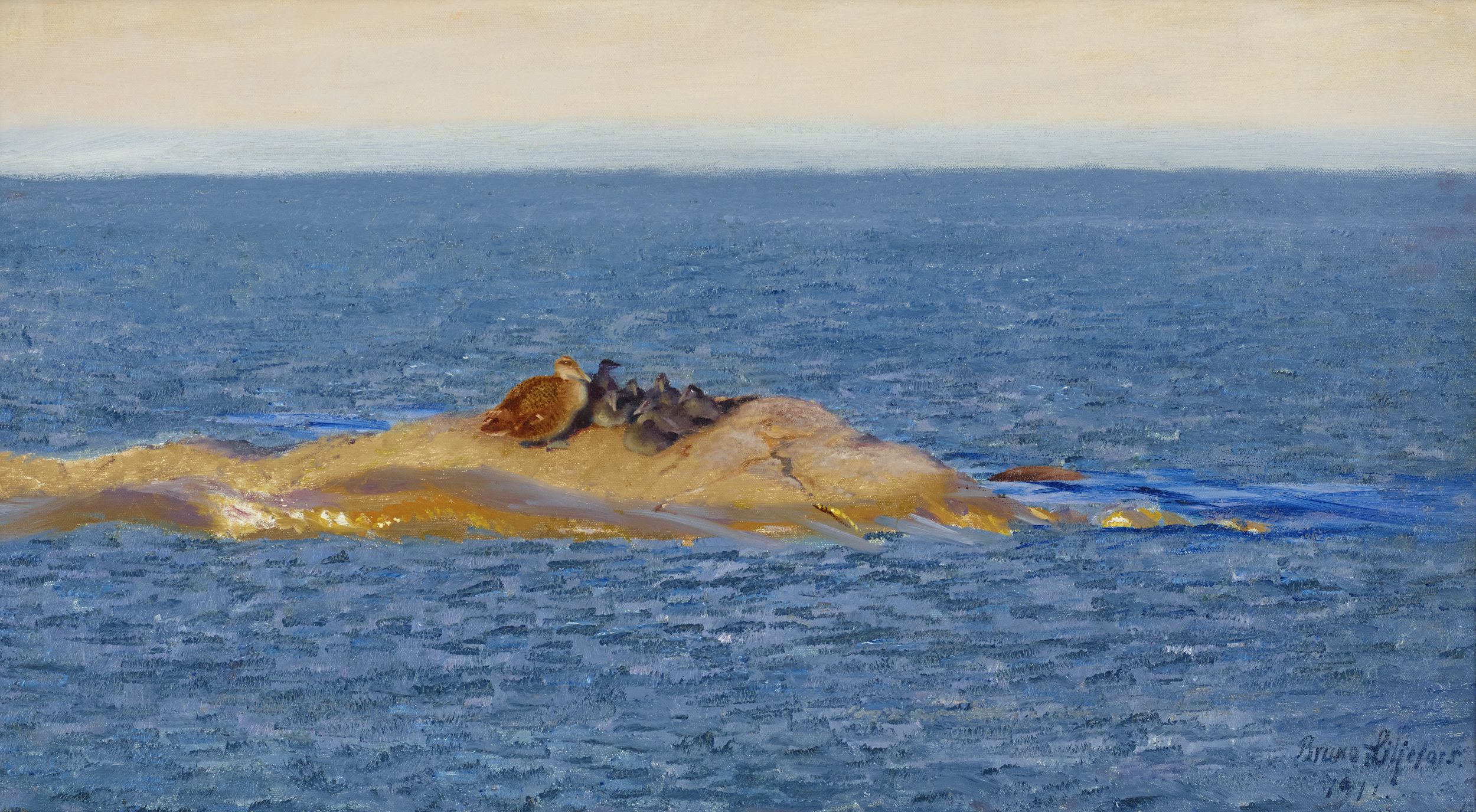 Famiglia Eider - Bruno Liljefors
