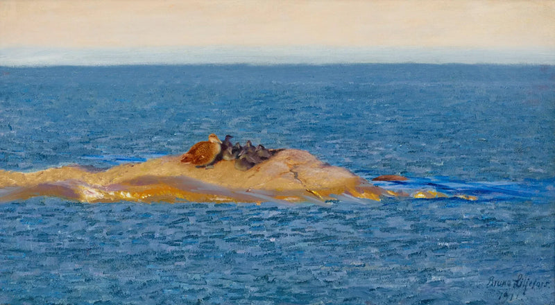Famiglia Eider - Bruno Liljefors