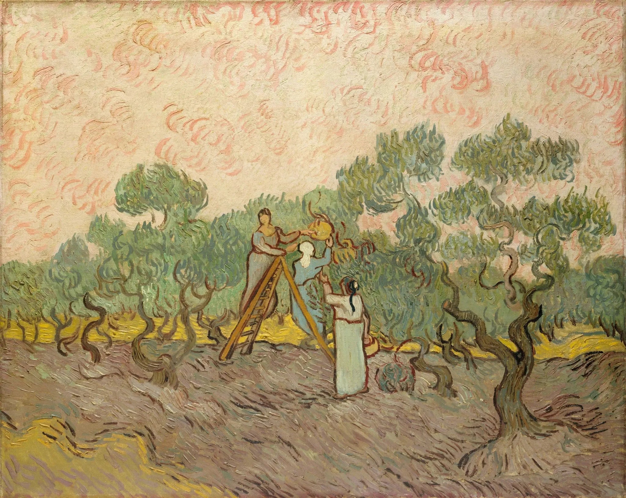 Femmes cueillant des olives - Vincent van Gogh image 1 copie de tableau peinte à la main