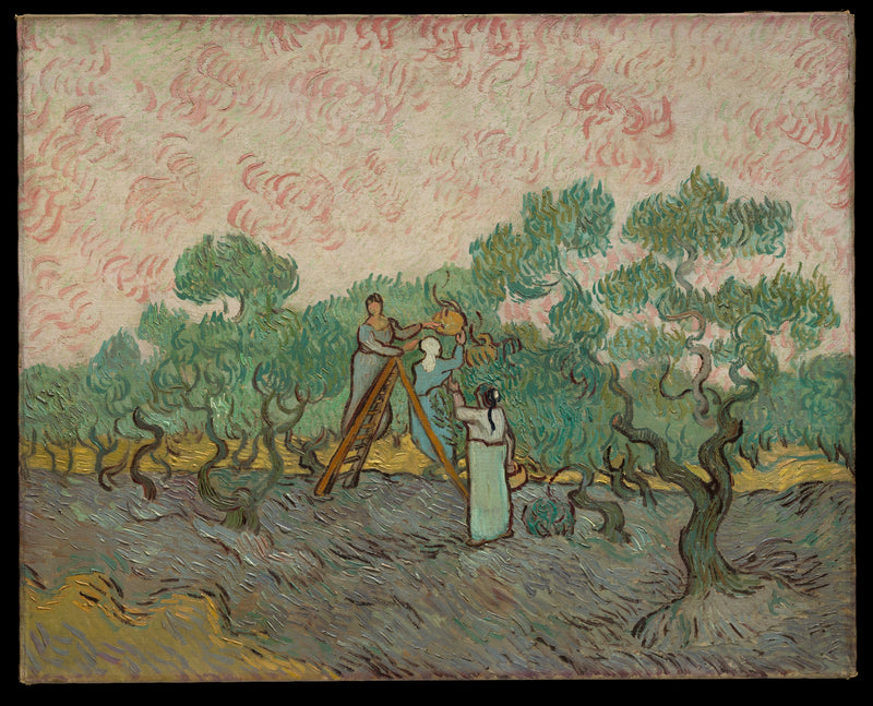 Donne che raccolgono olive - Vincent van Gogh