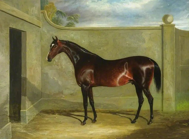 Filho da puta' - John Frederick Herring, Sr.