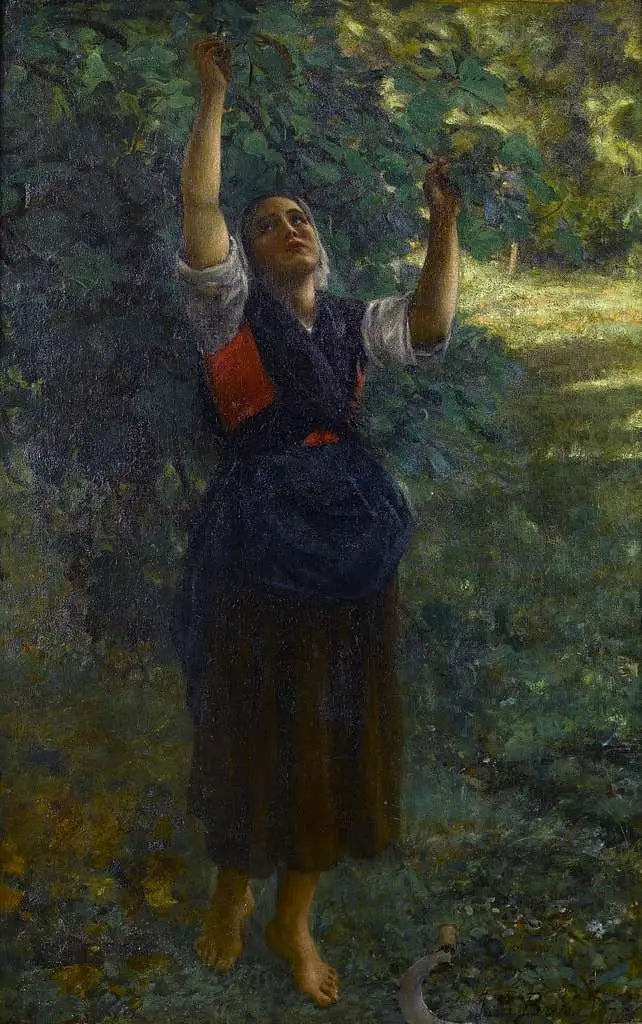 Ragazza che raccoglie fichi - Jules Breton
