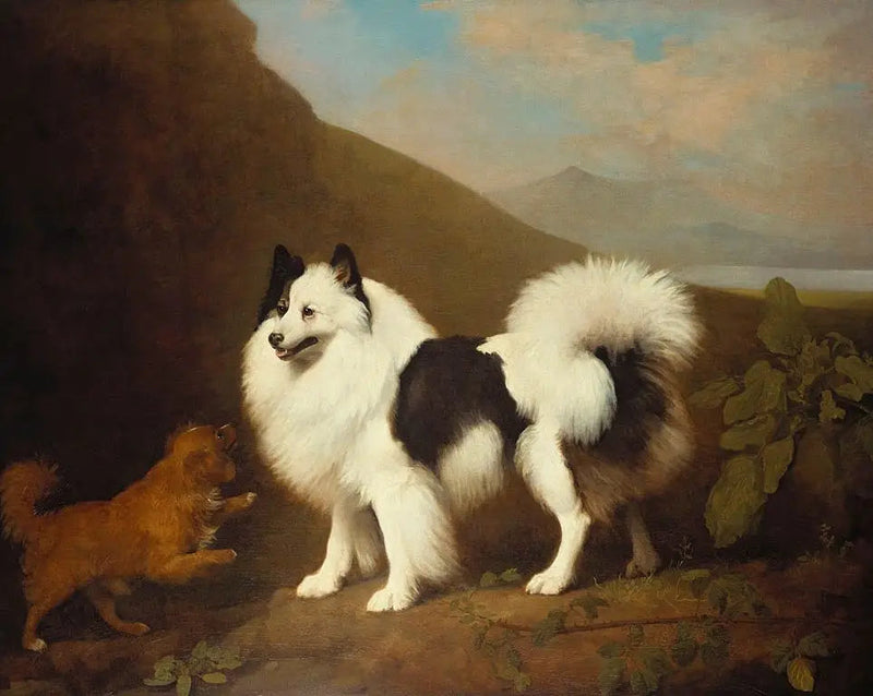 Fino e Tiny - George Stubbs