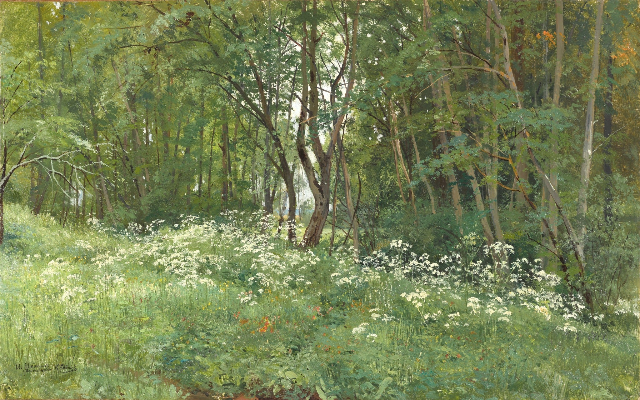 Fleurs à la lisière de la forêt - Ivan Chichkine - Alpha Reproduction