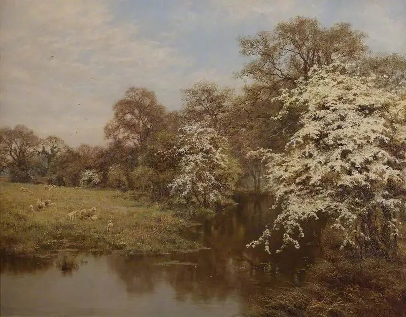Fiori di biancospino - Edward Wilkins Waite