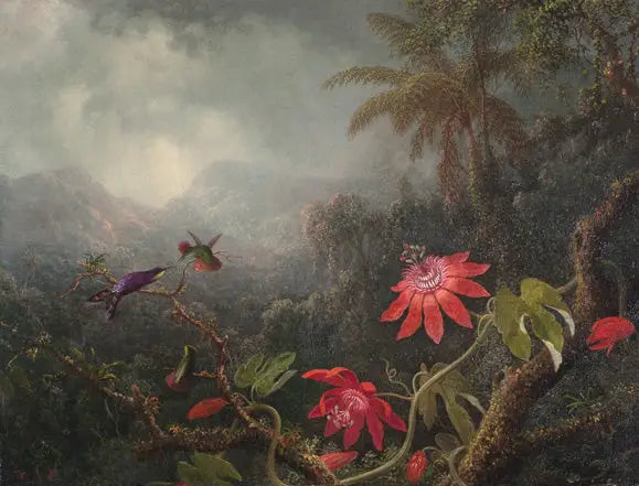 Fiori della passione e Tre colibrì - Martin Johnson Heade