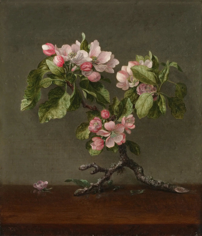 Fiori di melo - Martin Johnson Heade