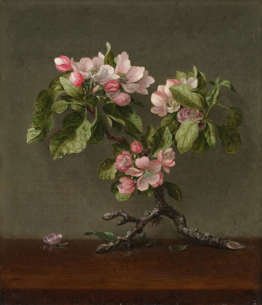 Fiori di melo - Martin Johnson Heade