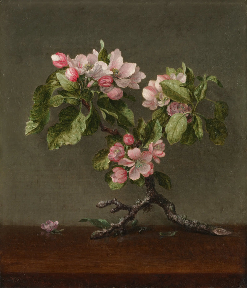 Fiori di melo - Martin Johnson Heade