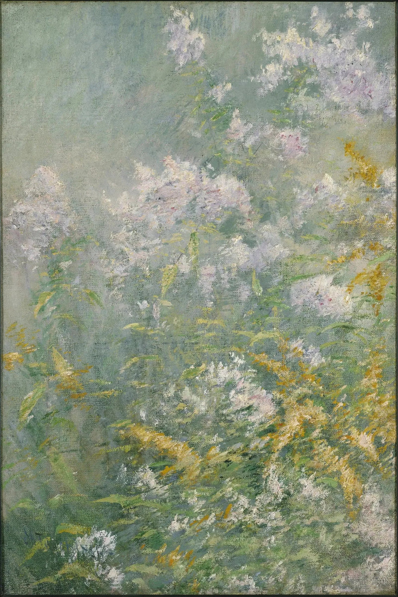 Fiori dei prati (Verga d'oro e Aster selvatico) - John Henry Twachtman
