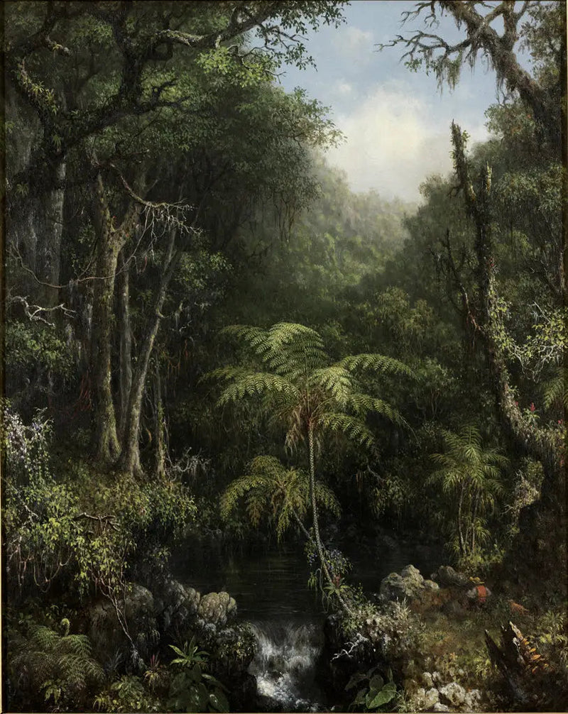 Foresta brasiliana - Martin Johnson Heade