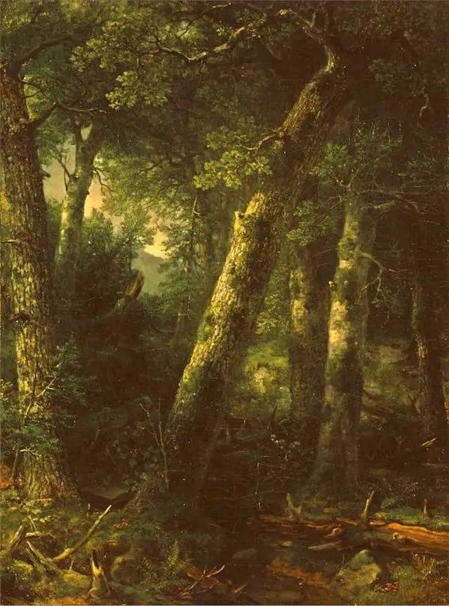 Foresta nella luce del mattino - Asher Brown Durand