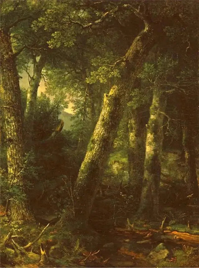 Foresta nella luce del mattino - Asher Brown Durand