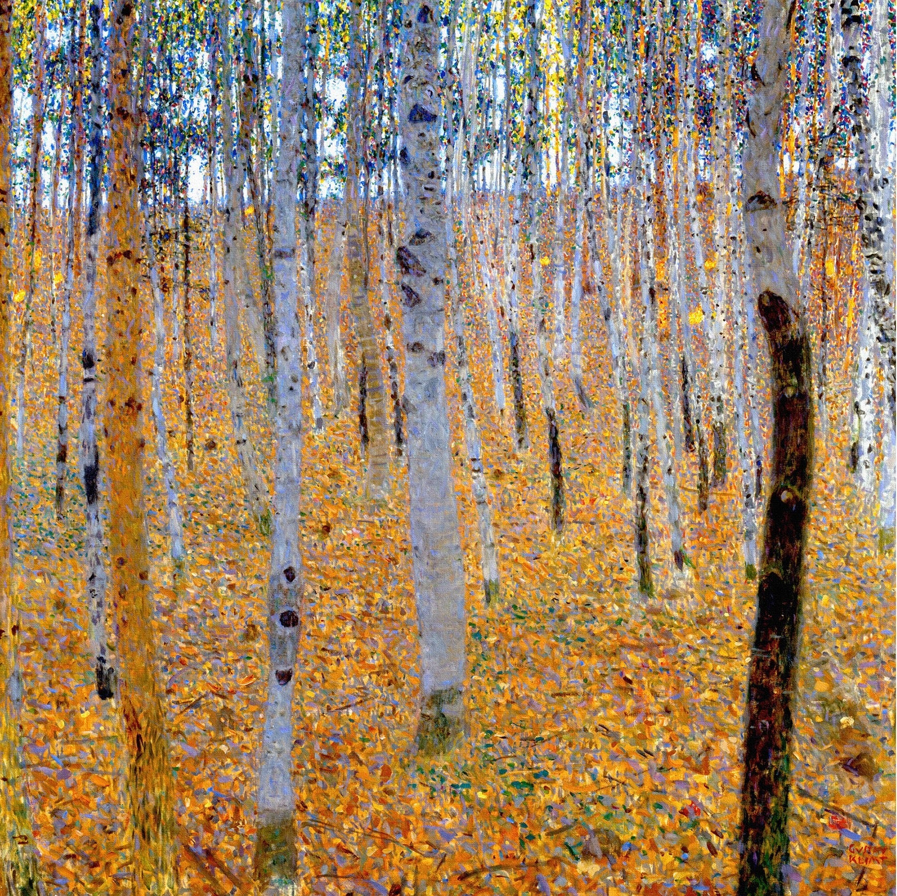 Forêt de bouleaux - Gustav Klimt - Alpha Reproduction