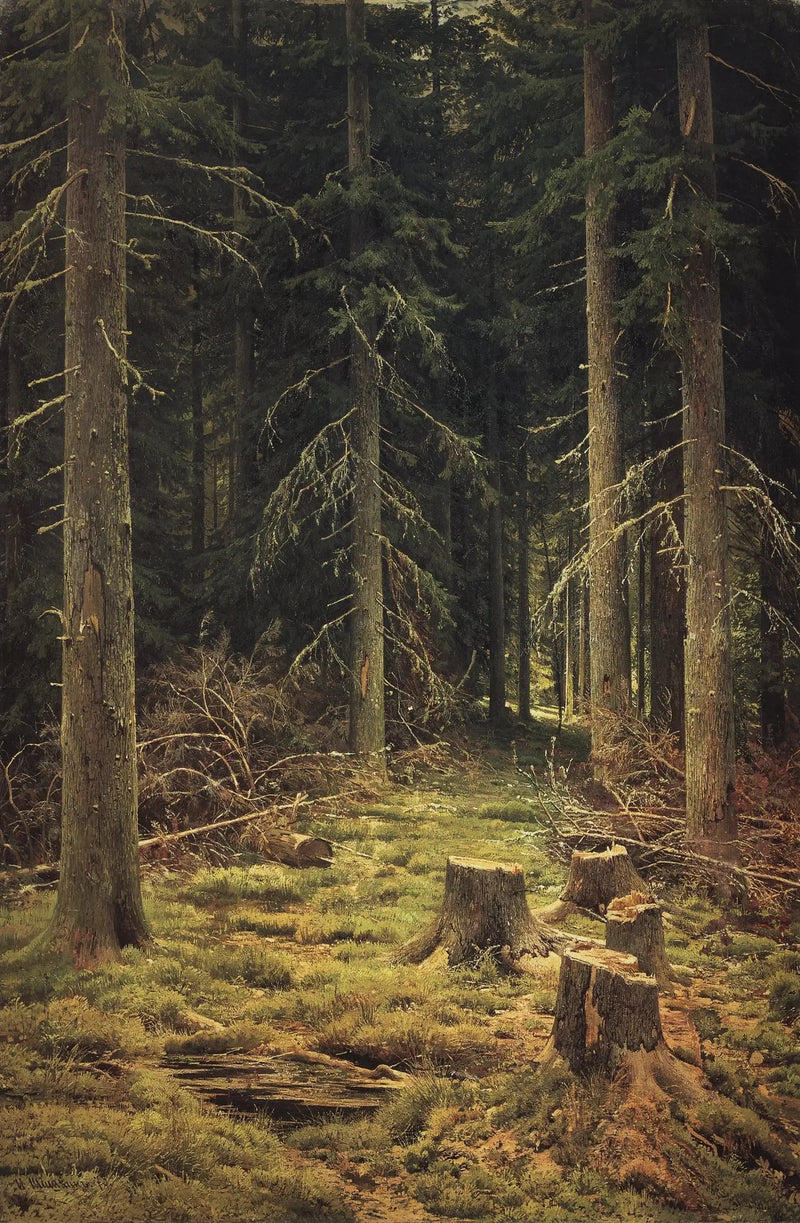 Foresta di conifere - Ivan Chichkine