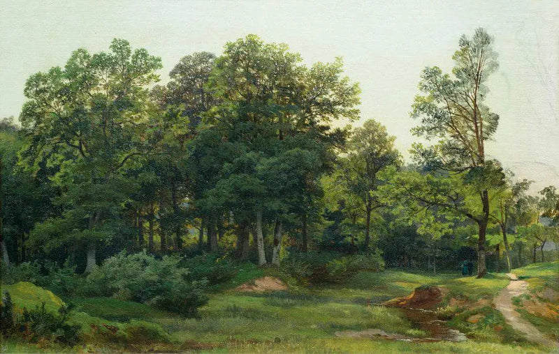 Foresta di alberi decidui - Ivan Chichkine