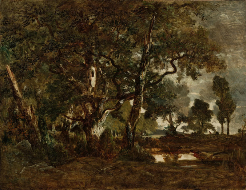 Foresta di Fontainebleau, un boschetto di alberi ad alto fusto che domina la pianura di Clair-Bois ai margini del Bas-Bréau - Théodore Rousseau