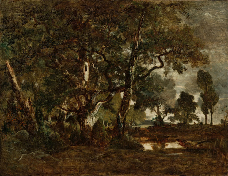 Foresta di Fontainebleau, un boschetto di alberi ad alto fusto che domina la pianura di Clair-Bois ai margini del Bas-Bréau - Théodore Rousseau