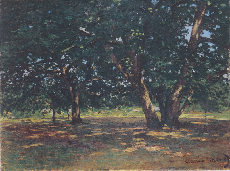 Foresta di Fontainebleau - Claude Monet