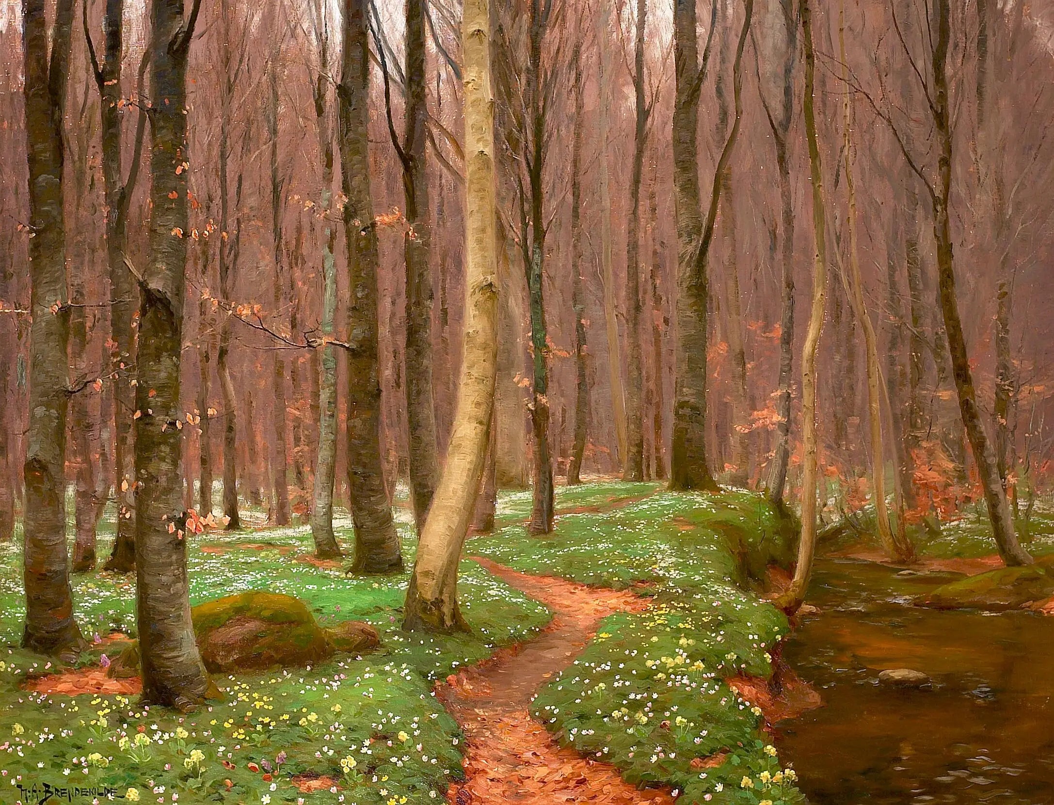 Forêt de hêtres avec des anémones en fleurs et un petit ruisseau. - H. A. Brendekilde - Alpha Reproduction