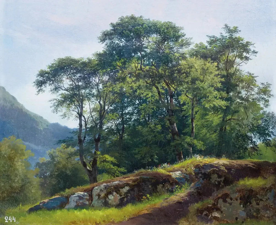 Foresta di faggi in Svizzera - Ivan Chichkine