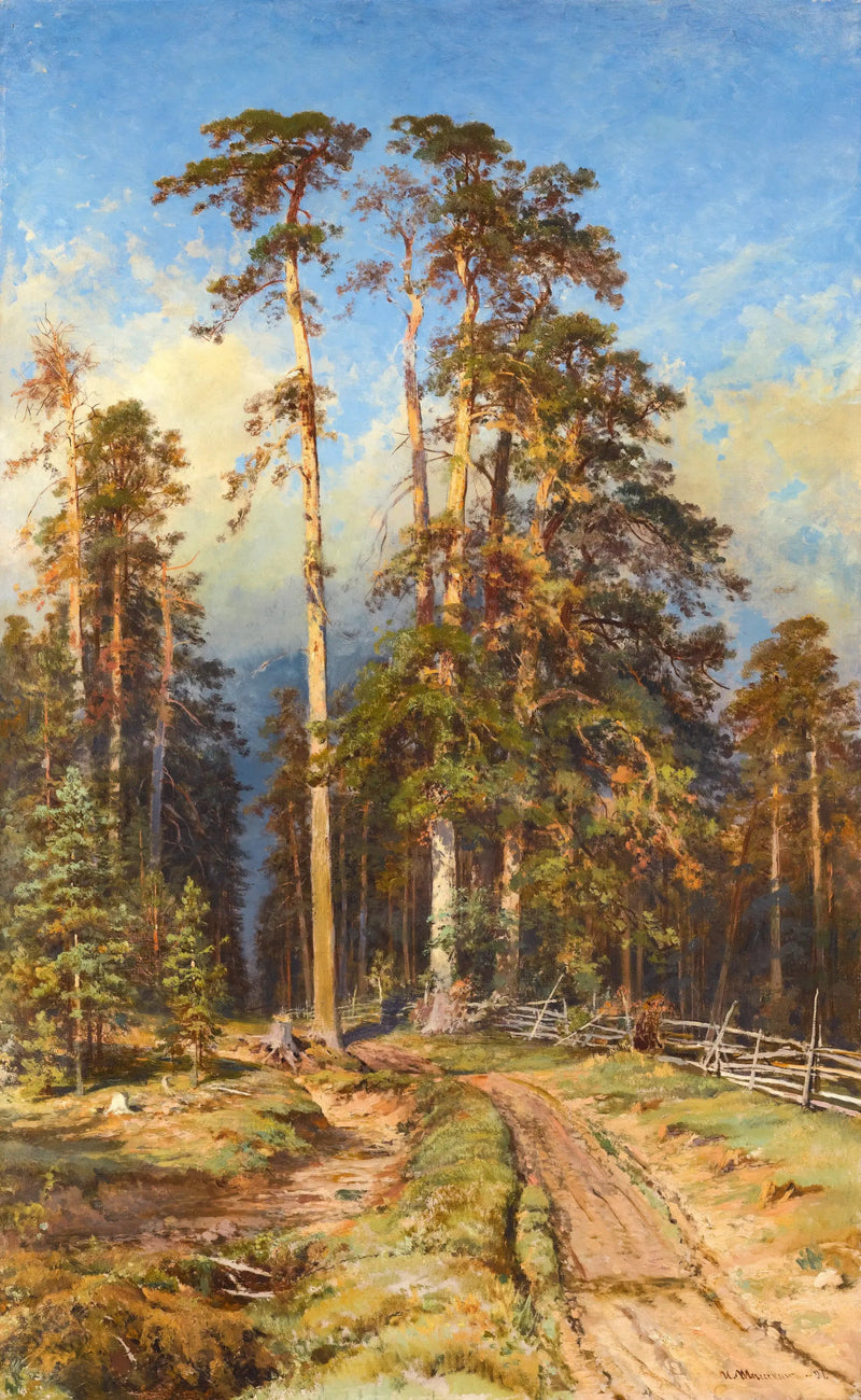 Foresta di pini - Ivan Chichkine