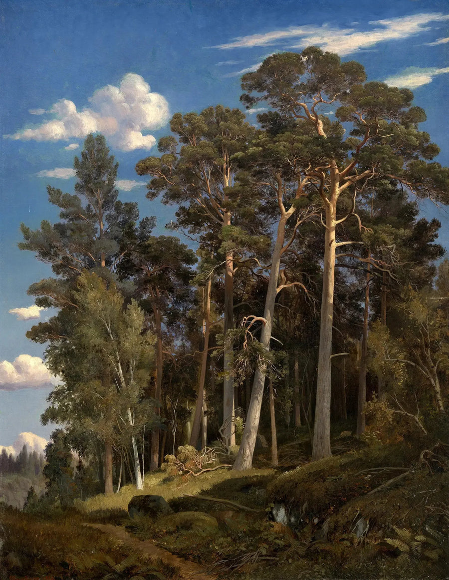 Foresta di pini - Ivan Chichkine