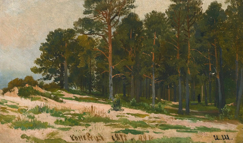 Foresta di pini - Ivan Chichkine