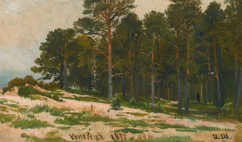 Foresta di pini - Ivan Chichkine