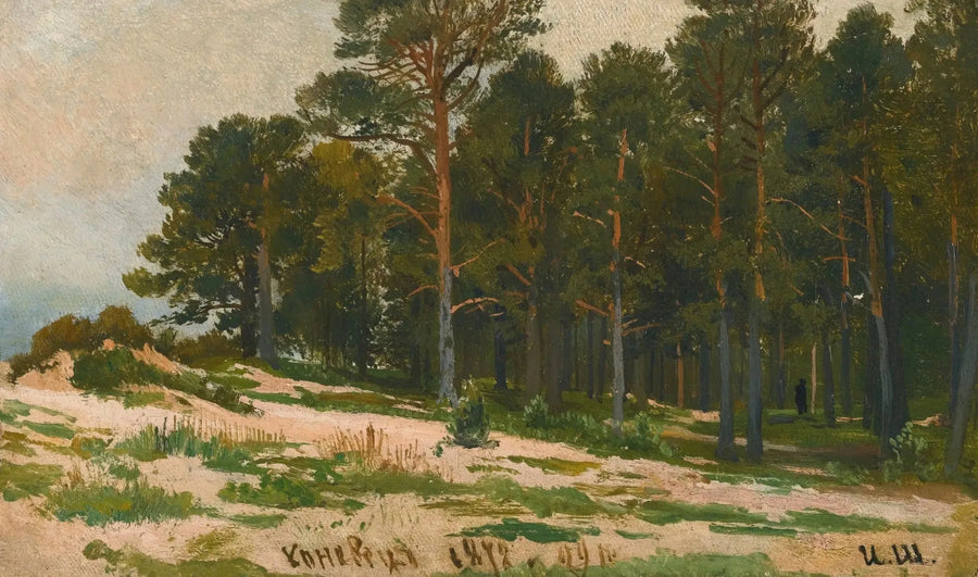 Foresta di pini - Ivan Chichkine