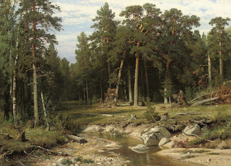 Foresta di pini maestosi nella provincia di Viatka - Ivan Chichkine