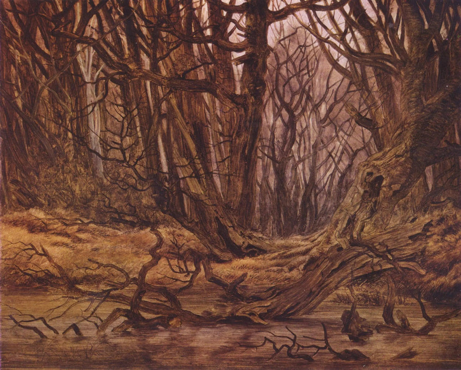 foresta alla fine dell'autunno - Caspar David Friedrich