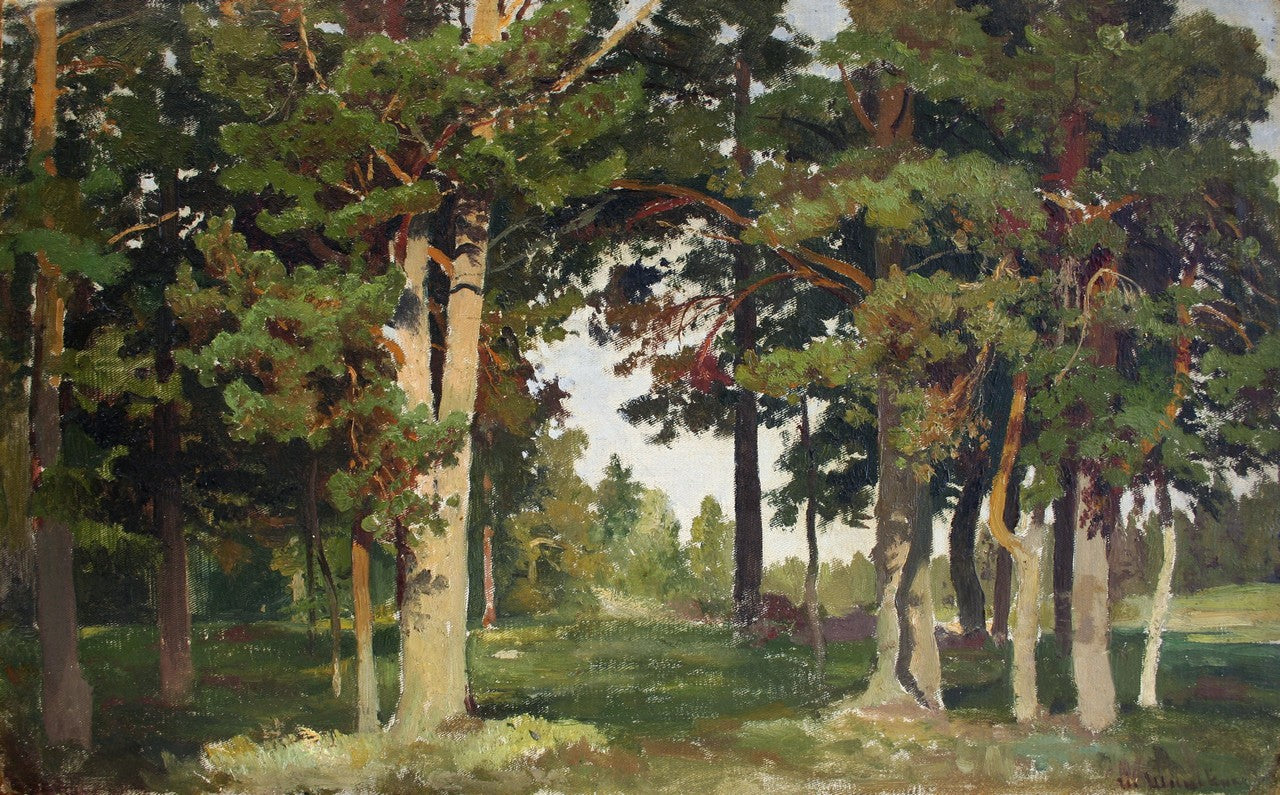 Forêt. Étude - Ivan Chichkine - Alpha Reproduction