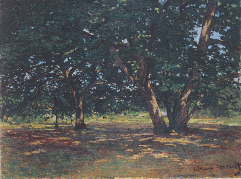 Foresta di Fontainebleau W59 - Claude Monet