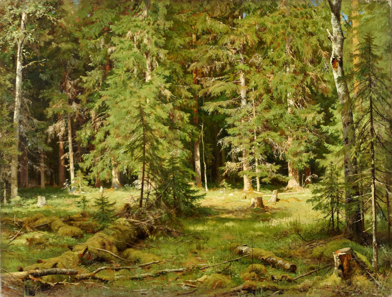 Foresta - Ivan Chichkine