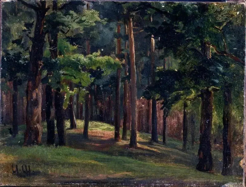 Foresta - Ivan Chichkine