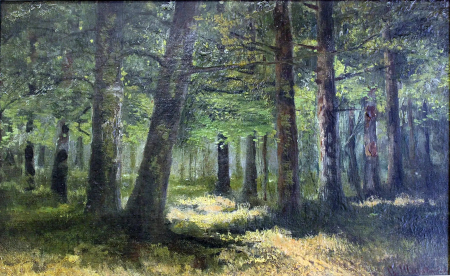 Foresta - Ivan Chichkine