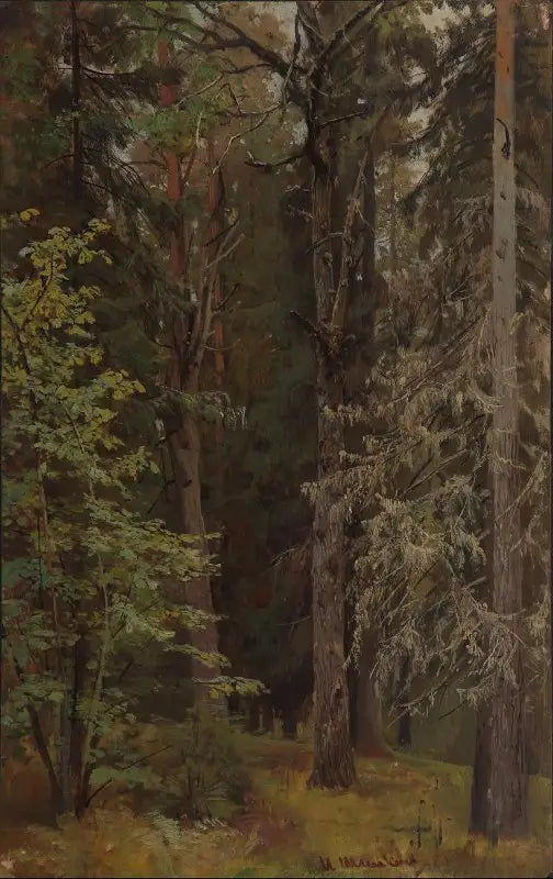 Foresta mista - Ivan Chichkine