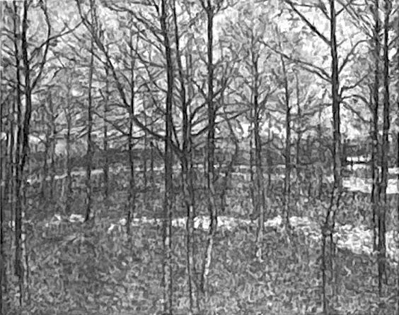 Forêt Printemps - Kazimir Malevich - Alpha Reproduction