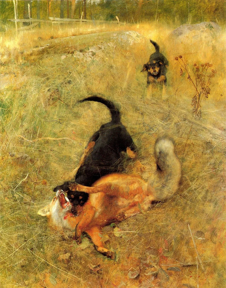 Foxhound svedese e volpe - Bruno Liljefors