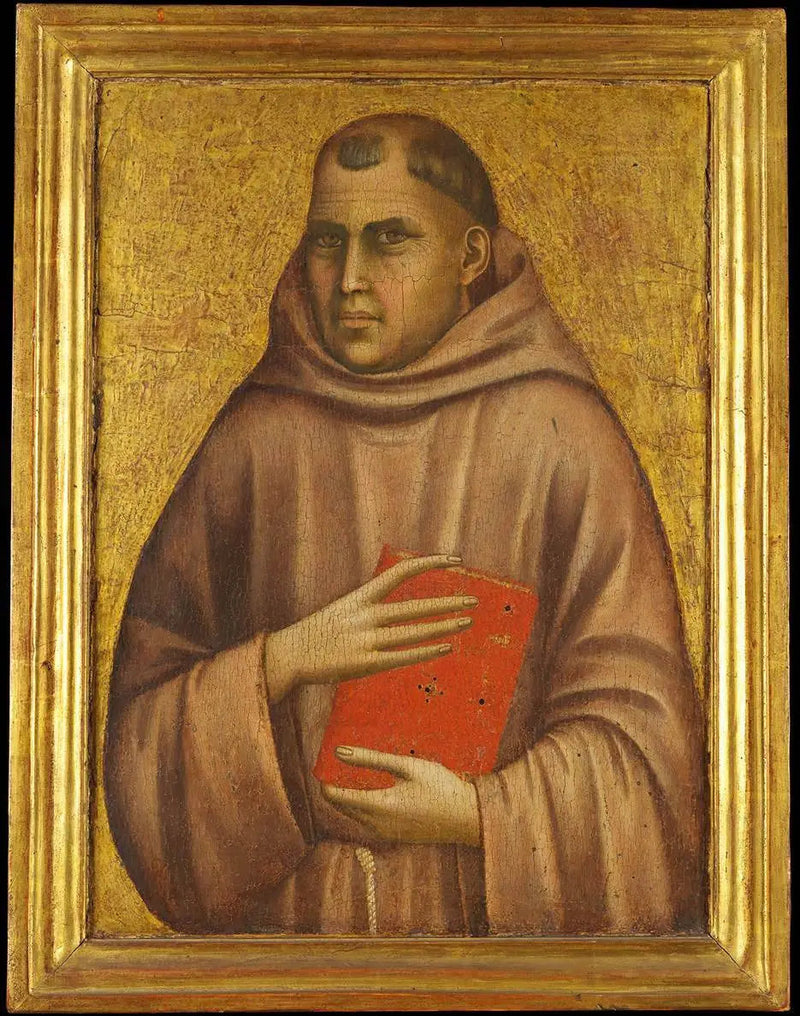 Fratello francescano - Giotto