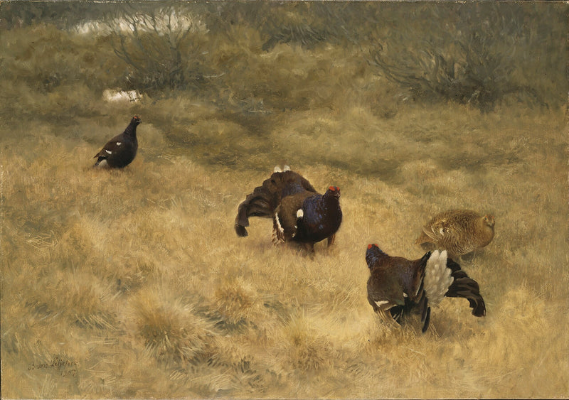 Gioco nero in primavera - Bruno Liljefors