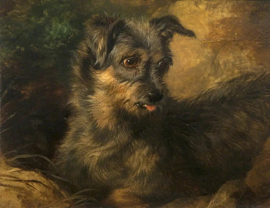 Zenzero' - Edwin Henry Landseer