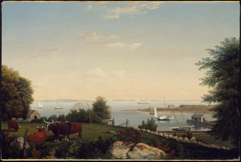 Gloucester da Brookbank - Fitz Henry Lane