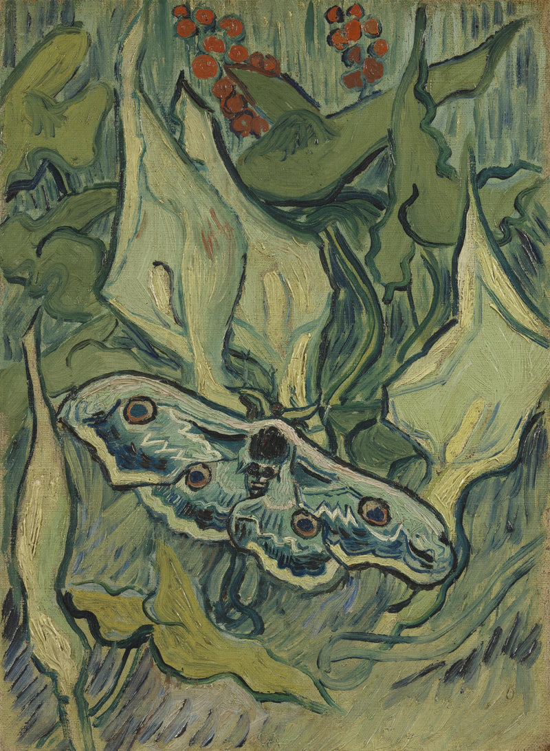 Grande Pavone notturno - Vincent van Gogh