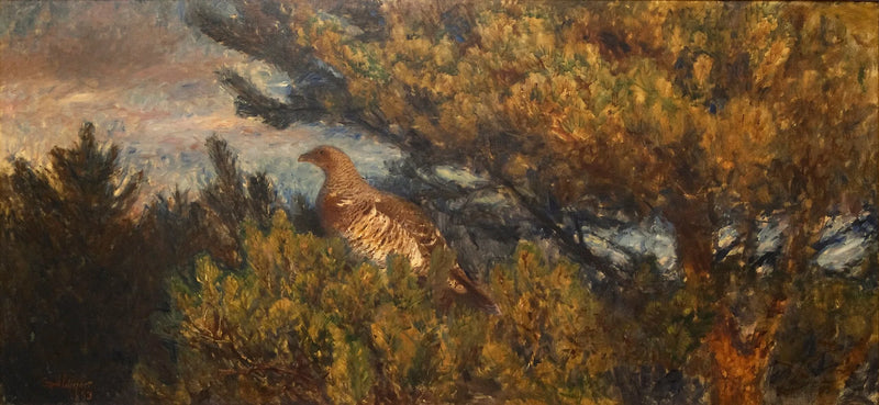 Gallo cedrone femmina - Bruno Liljefors